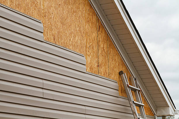 Professional Siding Repair technician working in Odessa, FL